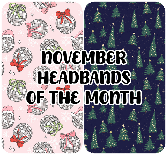 Headbands of the Month (2 EVERY MONTH)