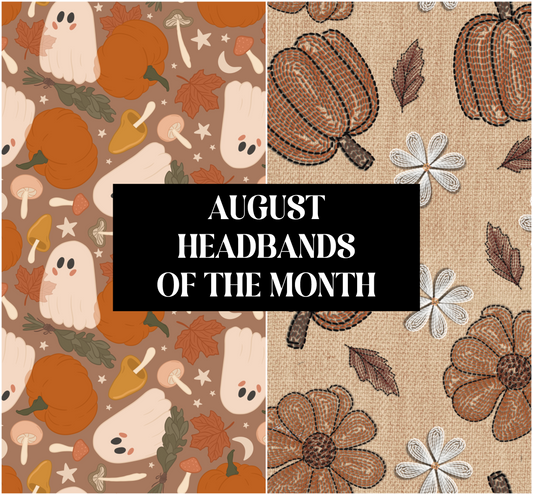Headbands of the Month (2 EVERY MONTH)